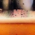 Benefits of Joining a Homebrewing Club: A Guide for Beginners