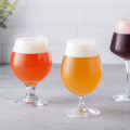 Sours and Wild Ales: The Secret to Perfect Home Brewing