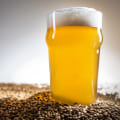 A Beginner's Guide to Home Brewing: All About Grains and Malts