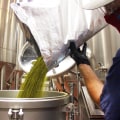 All You Need to Know About Dry Hopping