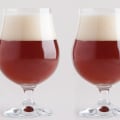 Everything You Need to Know About Brewing American Amber Ale