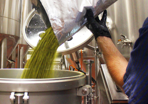 All You Need to Know About Dry Hopping